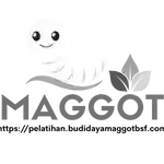 6-ezgif.com-png-to-webp-converter (1)