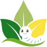 Pelatihan Budidaya Maggot